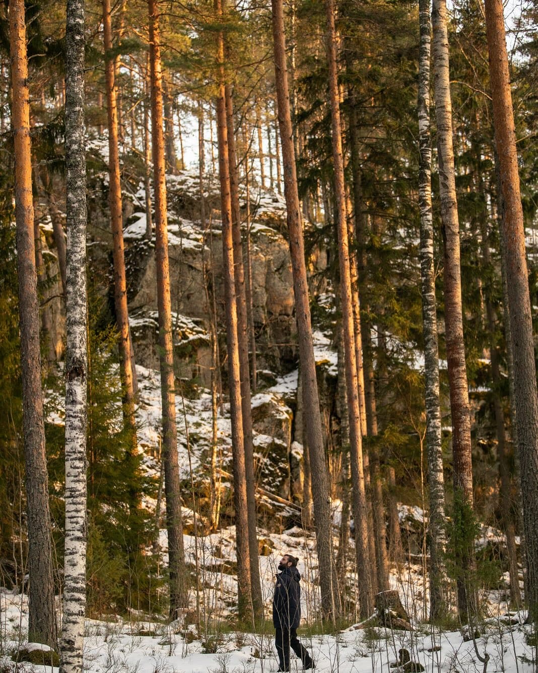 Matt walking through a snowy Nordic forest