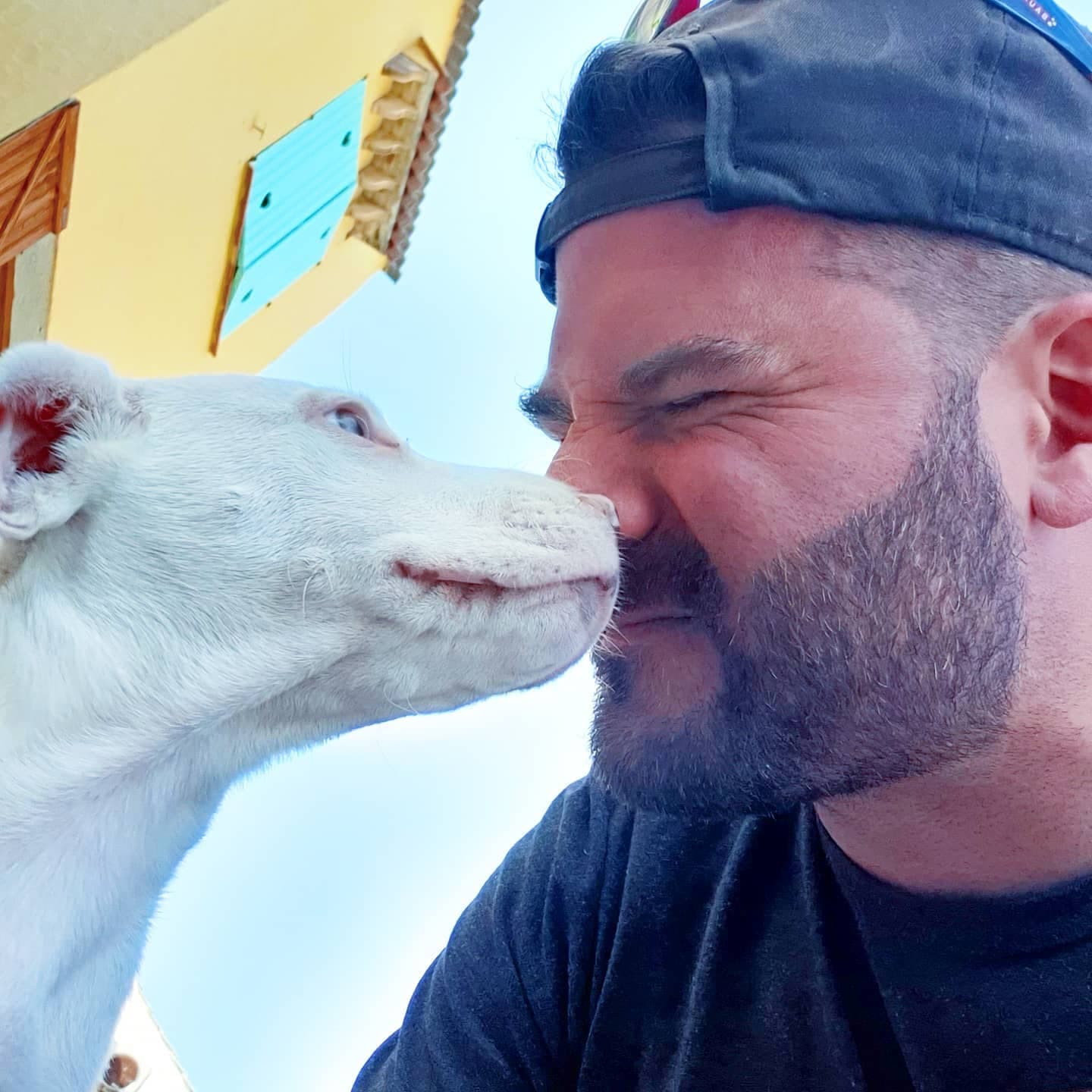 A white rescue dog licking Matt's face