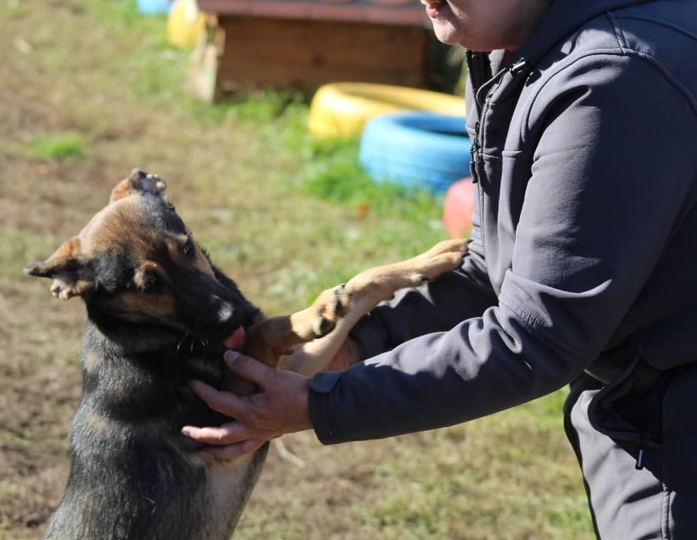 ❤️Juno❤️ photo 4