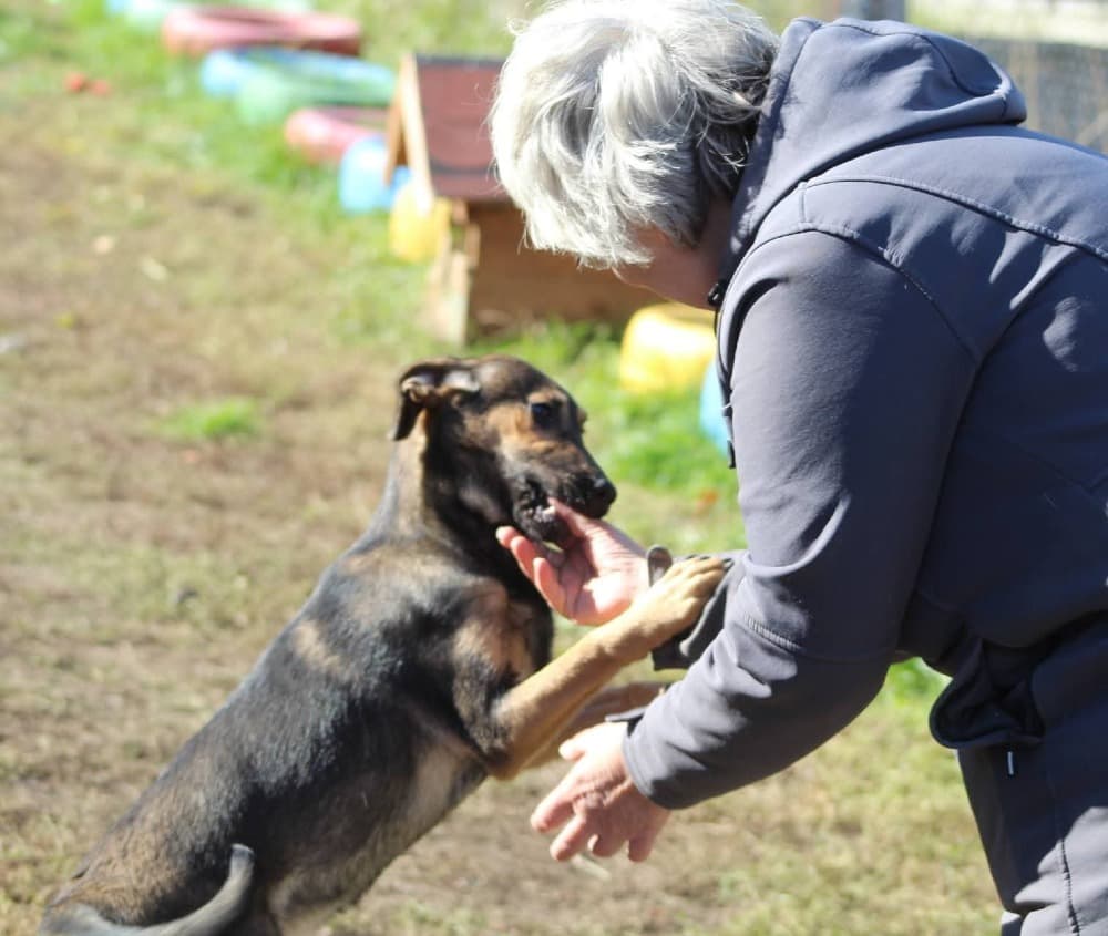 ❤️Juno❤️ photo 3