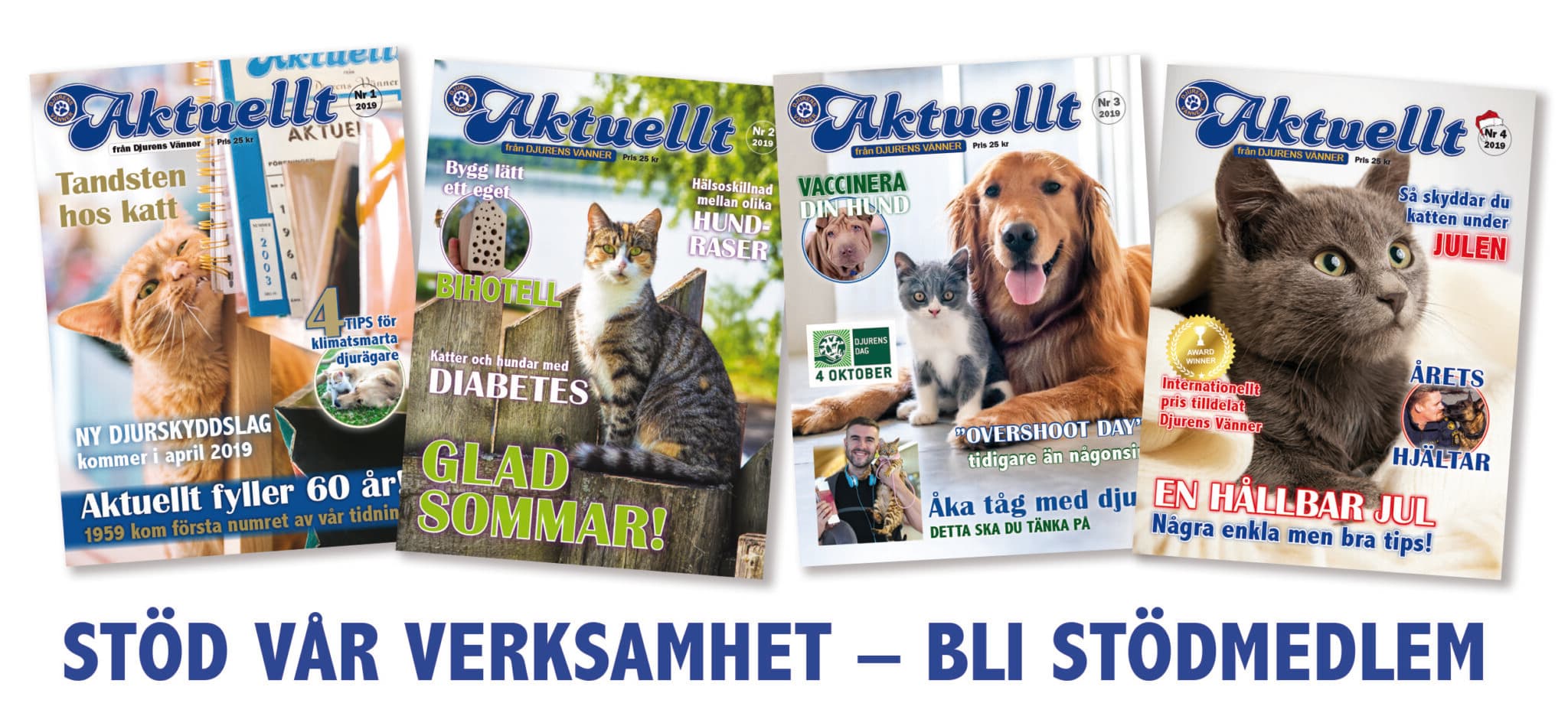 Stöd oss,  Mixed Breed for adoption at Djurens Vanner Goteborg