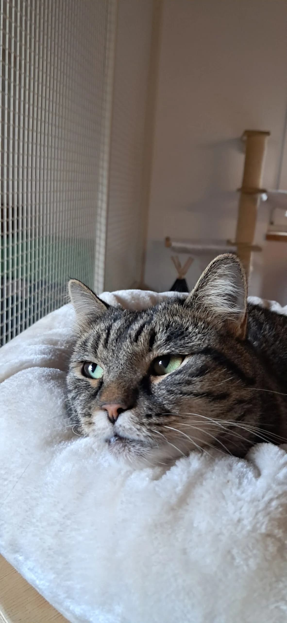 Fridolin & Frieda photo 3