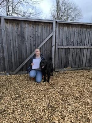 Cole, schwarz male Livestock Guardian Dog for adoption at Tierheim Wels, Wels — photo 7 of 8