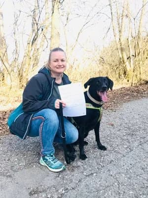 Nico, schwarz male mixed breed for adoption at Tierheim Wels, Wels — photo 6 of 7