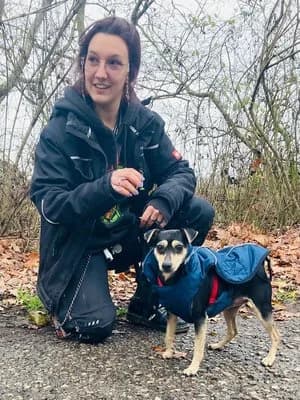 Emily, schwarz-beige female Mixed Breed for adoption at Tierheim Wels, Wels — photo 3 of 3