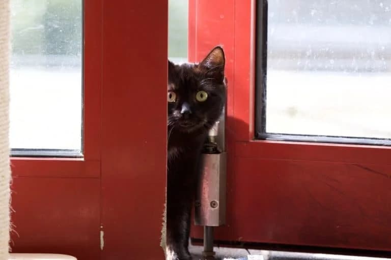 Flummy + Amalia photo 3