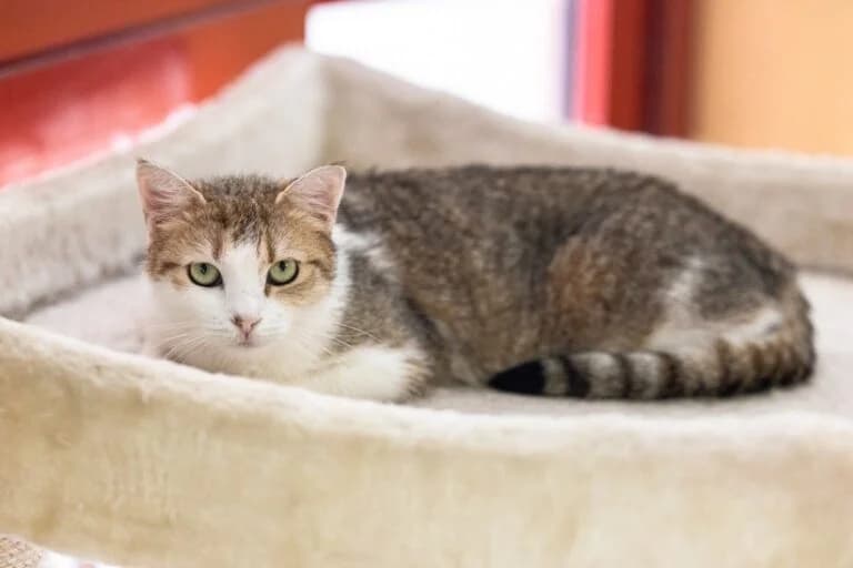 Luni + Samantha photo 5