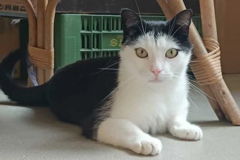 Batman + Robin photo 3