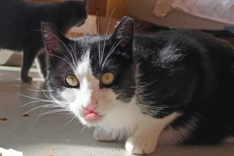 Batman + Robin photo 4