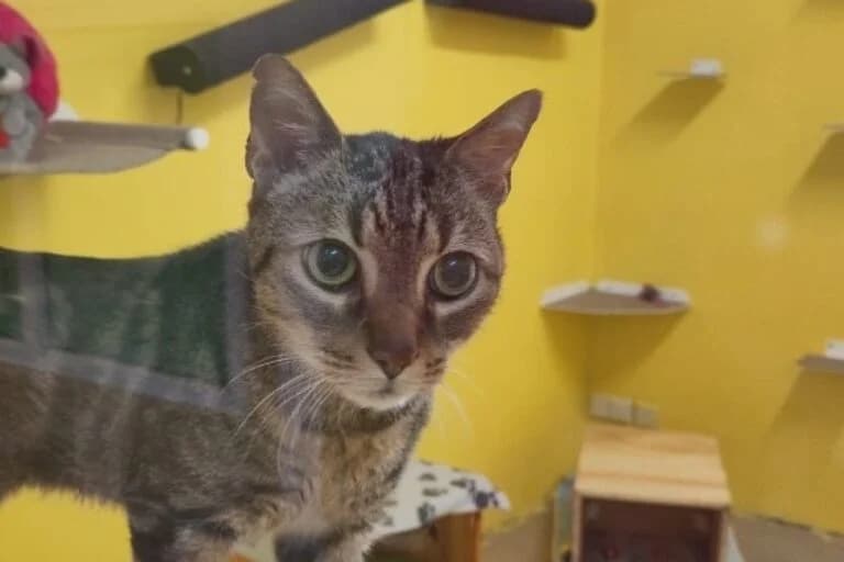 Max + Moritz photo 3