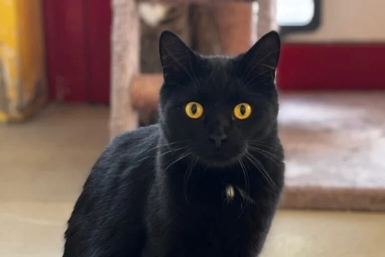 Lenny + Freunde photo 4