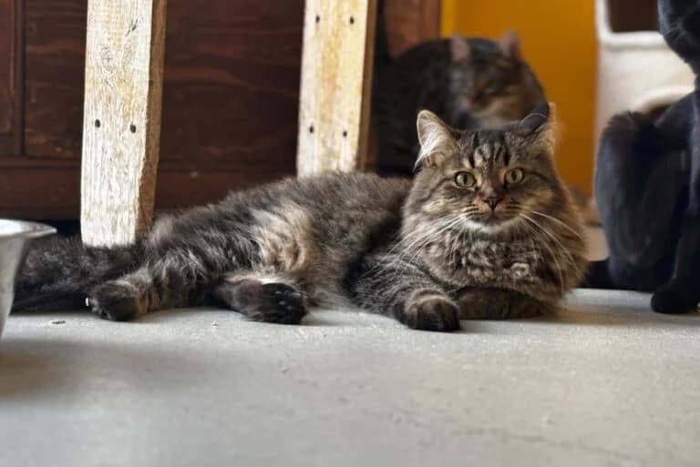 Lenny + Freunde photo 5