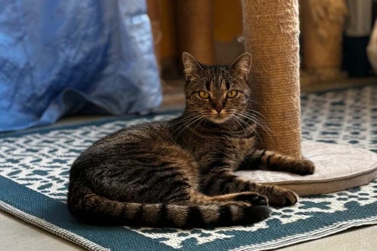 Lenny + Freunde photo 7