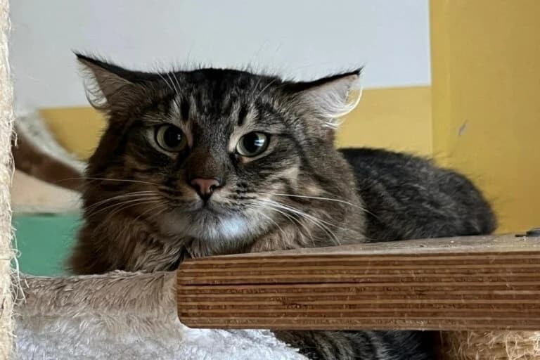 Heidi + Simon photo 3