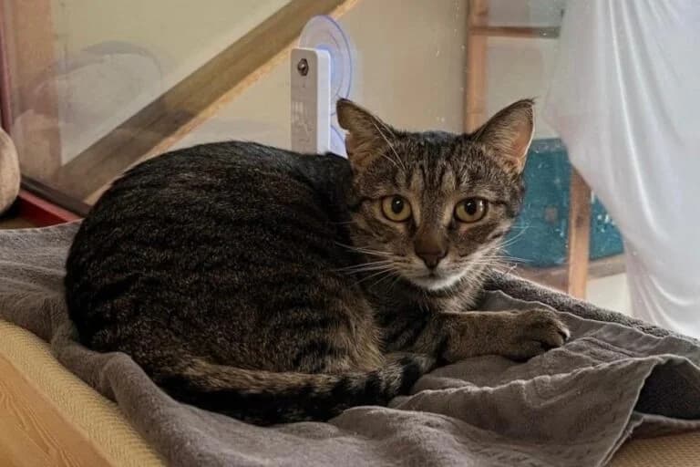 Heidi + Simon photo 4