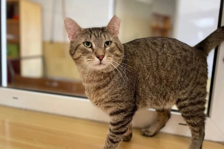 Fundus+Freunde photo 3