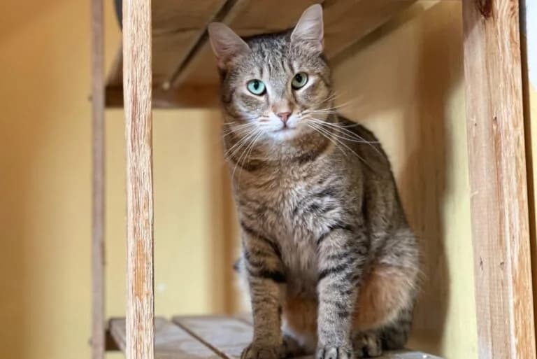 Fundus+Freunde photo 4