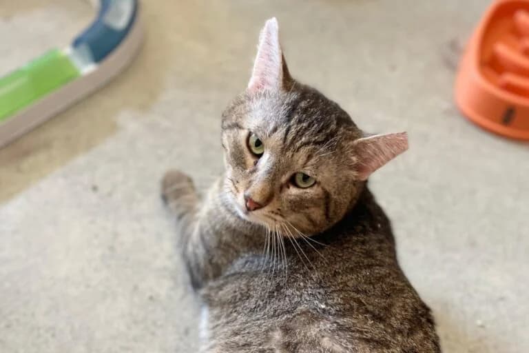 Fundus+Freunde photo 5