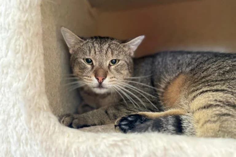 Fundus+Freunde photo 6