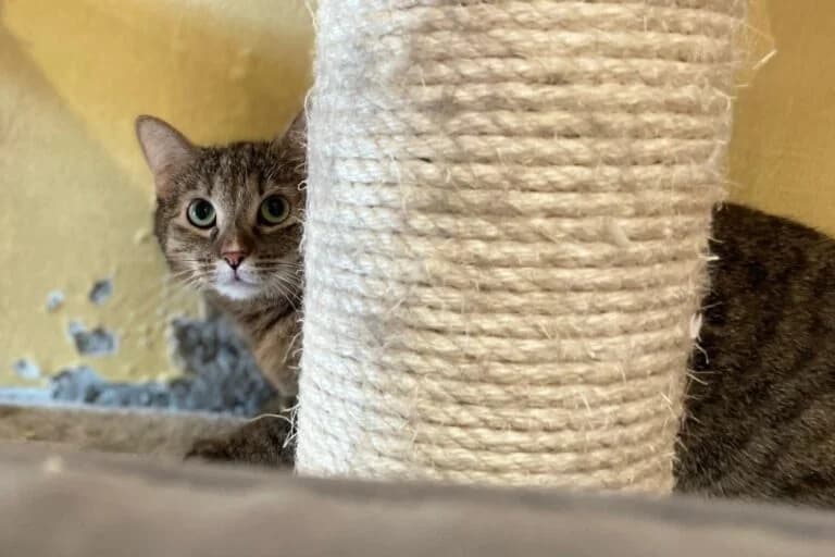 Fundus+Freunde photo 7