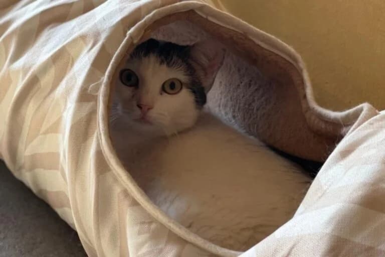 Fundus+Freunde photo 8