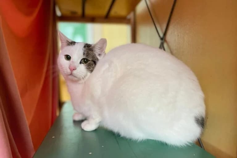 Missy + Freunde photo 4