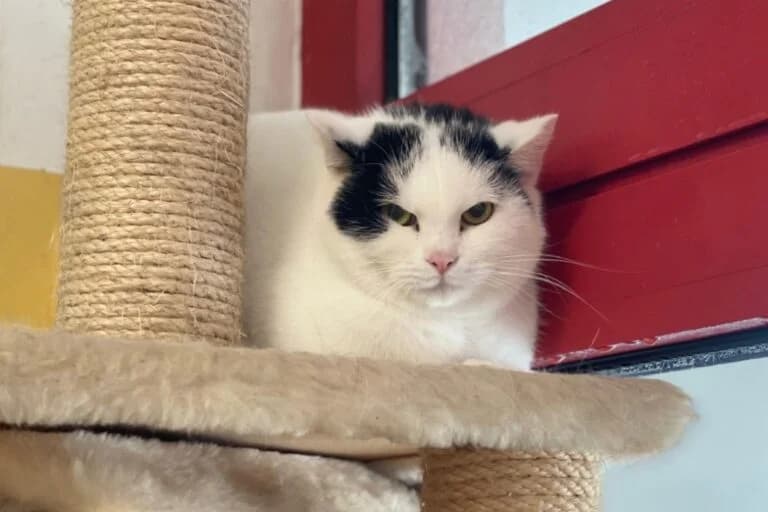 Missy + Freunde photo 5