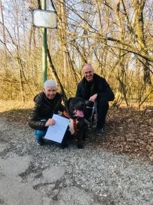 Samy, schwarz-braun male mixed breed for adoption at Tierheim Wels, Wels — photo 7 of 8