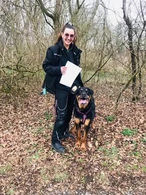 Ace, schwarz mit braun male Rottweiler for adoption at Tierheim Wels, Wels — photo 6 of 7