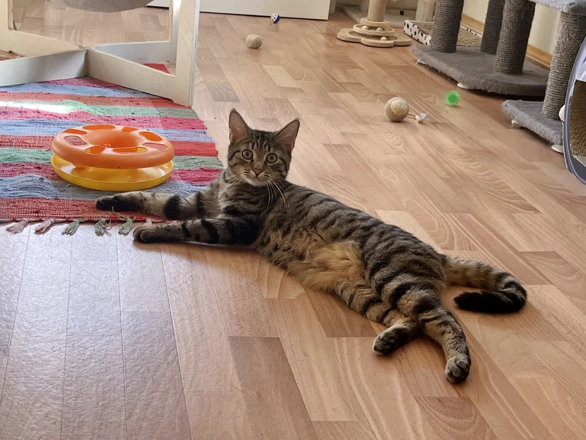 Bilbo & Frodo photo 4