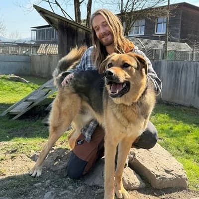 Apollo, cream male Mixed Breed for adoption at Tierheim Dornbirn, Dornbirn — photo 4 of 11