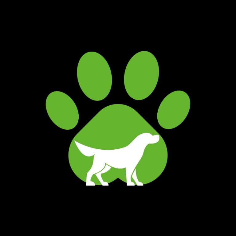 Smiley,  Mixed Breed for adoption at Tierheim Arche Noah, Graz — photo 3 of 3