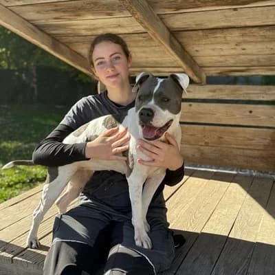 Kira, white female American Staffordshire Terrier for adoption at Tierheim Dornbirn, Dornbirn — photo 4 of 8