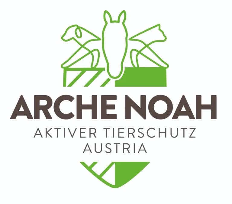 Merlini, Mixed Breed (Tierheim Arche Noah)