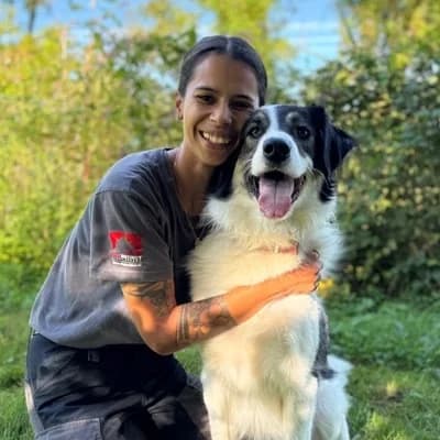 Wilhelm, black and white male Mixed Breed for adoption at Tierheim Dornbirn, Dornbirn — photo 3 of 9