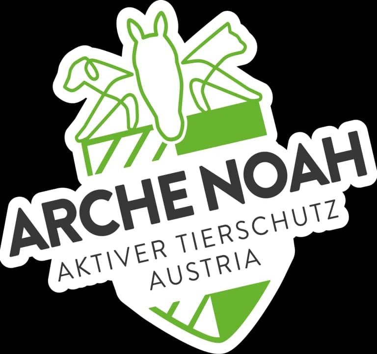 Yuki, black  Livestock Guardian Dog for adoption at Tierheim Arche Noah, Graz — photo 2 of 5