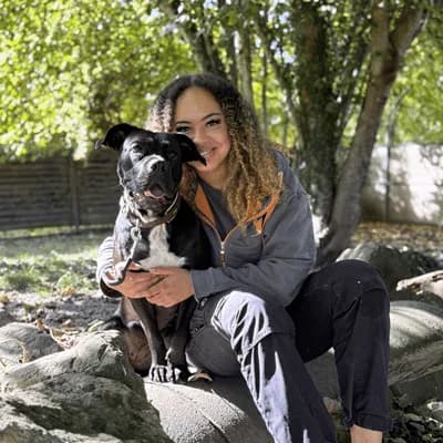 Zara, black female Mixed Breed for adoption at Tierheim Dornbirn, Dornbirn — photo 5 of 14