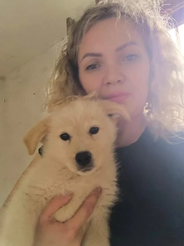 Ice,  puppy Mixed Breed for adoption at Ankerhunde e.V., Novi Grad