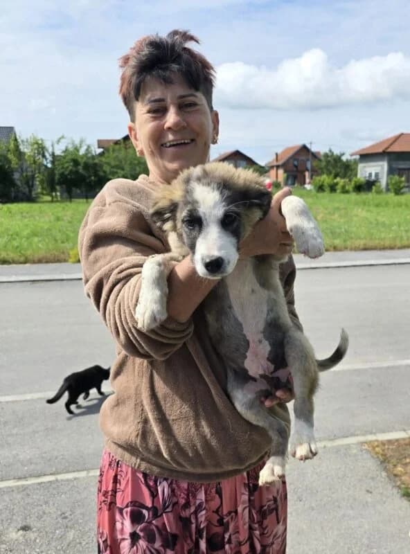 Monti,  puppy Mixed Breed for adoption at Ankerhunde e.V., Novi Grad