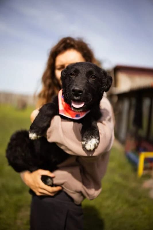 Mima, female puppy Mixed Breed for adoption at Ankerhunde e.V., Novi Grad