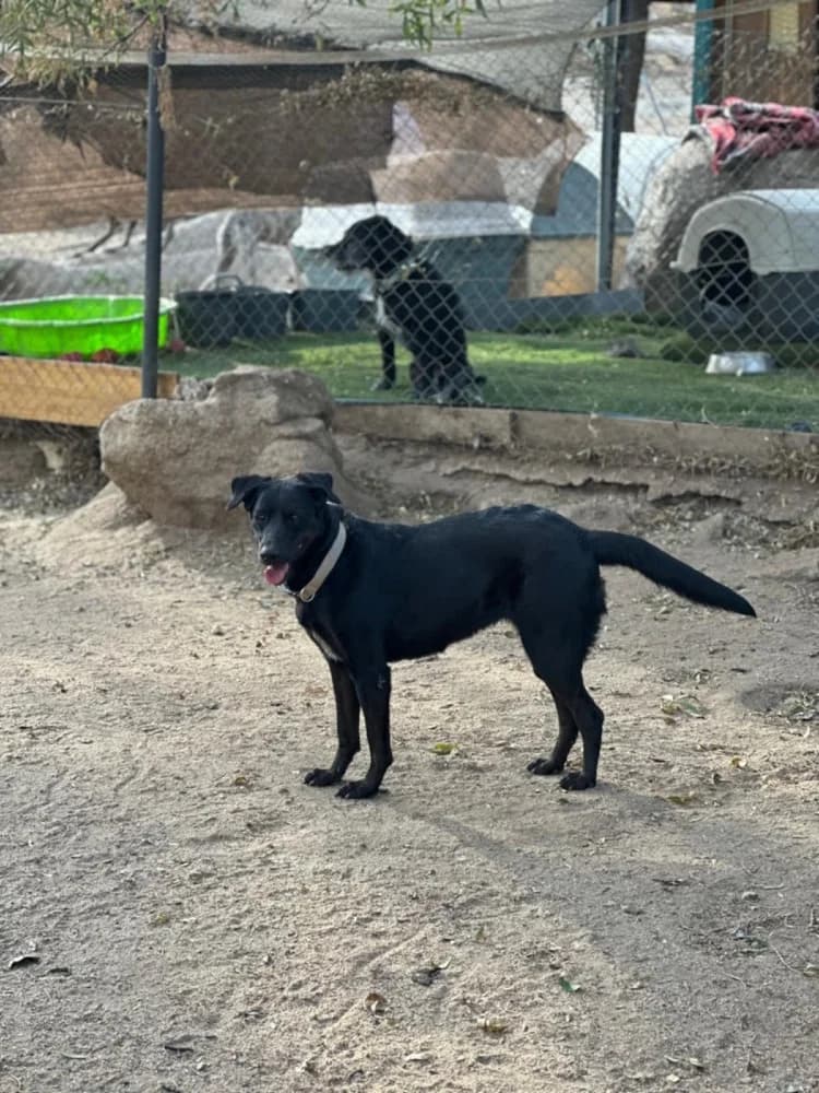 Kika BR senior photo 2