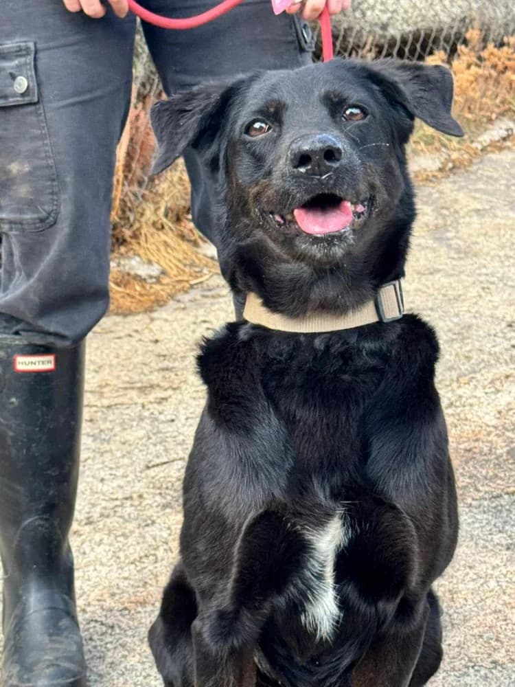 Kika BR senior photo 3