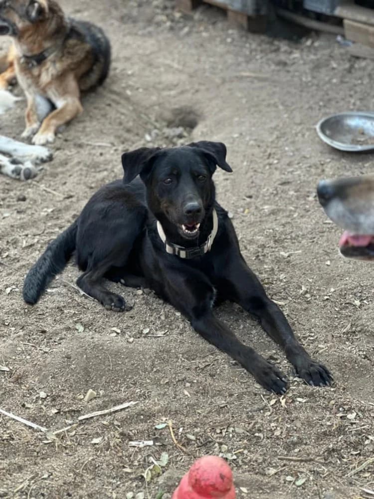 Kika BR senior photo 4