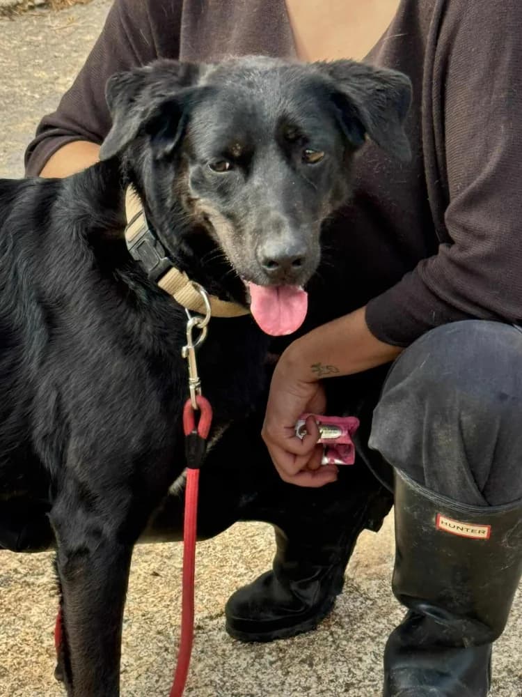 Kika BR senior photo 5