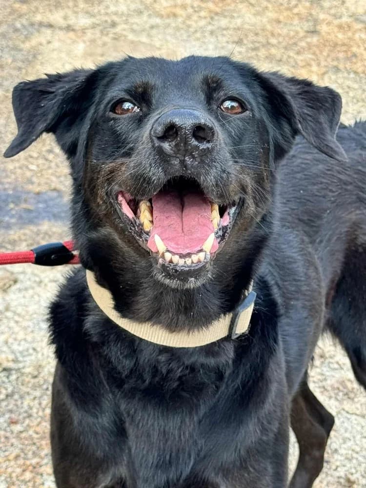 Kika BR senior photo 8