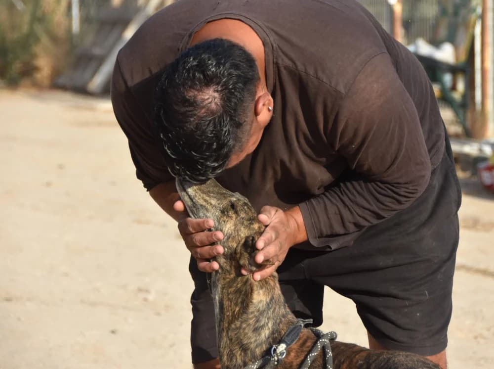 Duque de Juarez DC photo 6