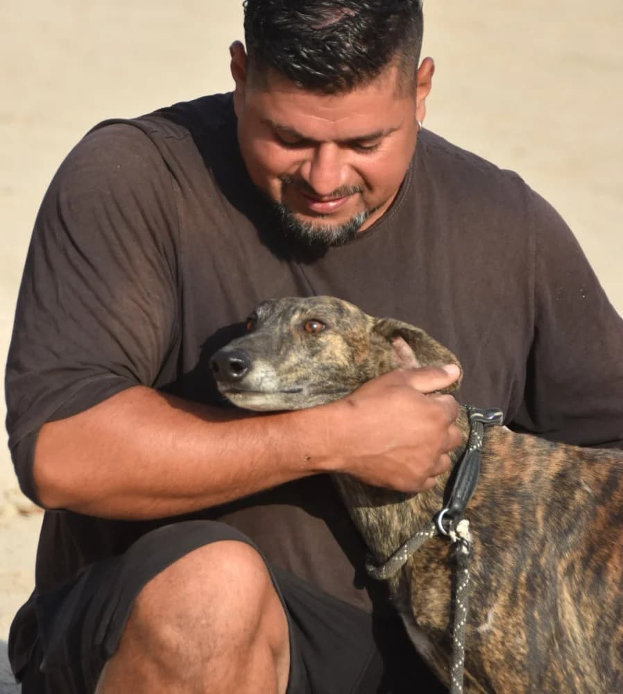 Duque de Juarez DC photo 7