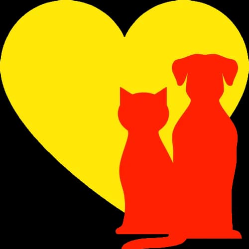 Tipy (en Vlekje) photo 2