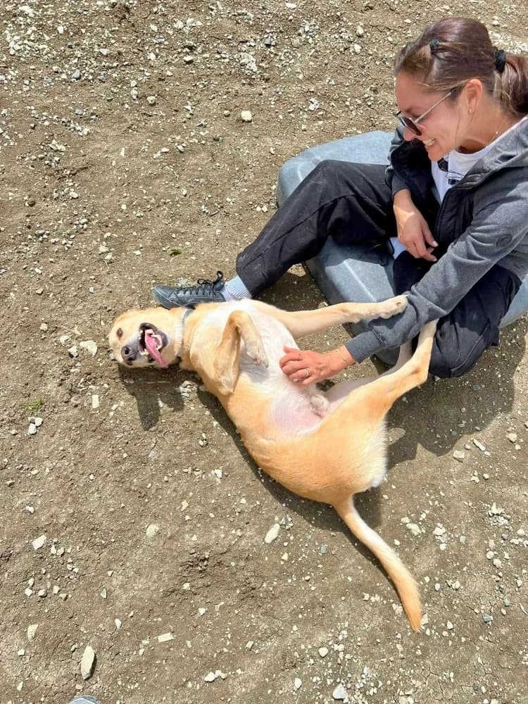 COOPER *kattest mogelijk! photo 5