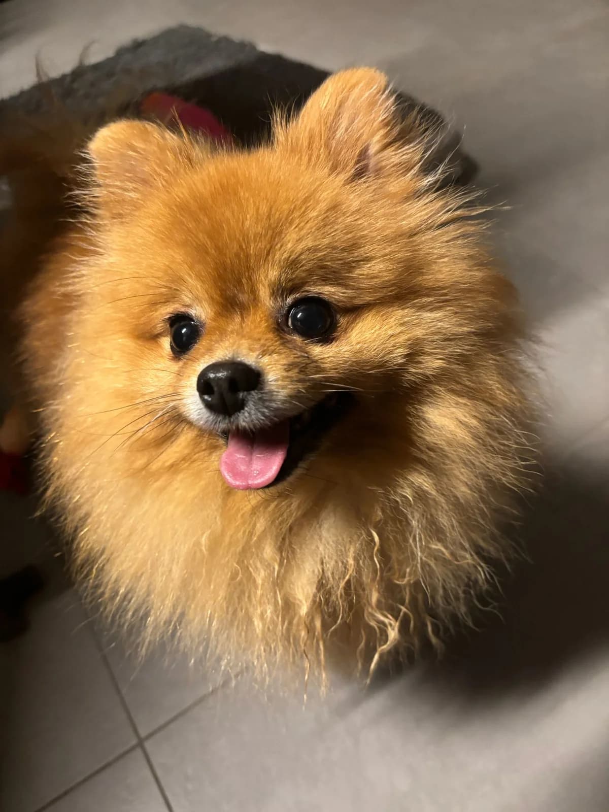 Mississippi info hier